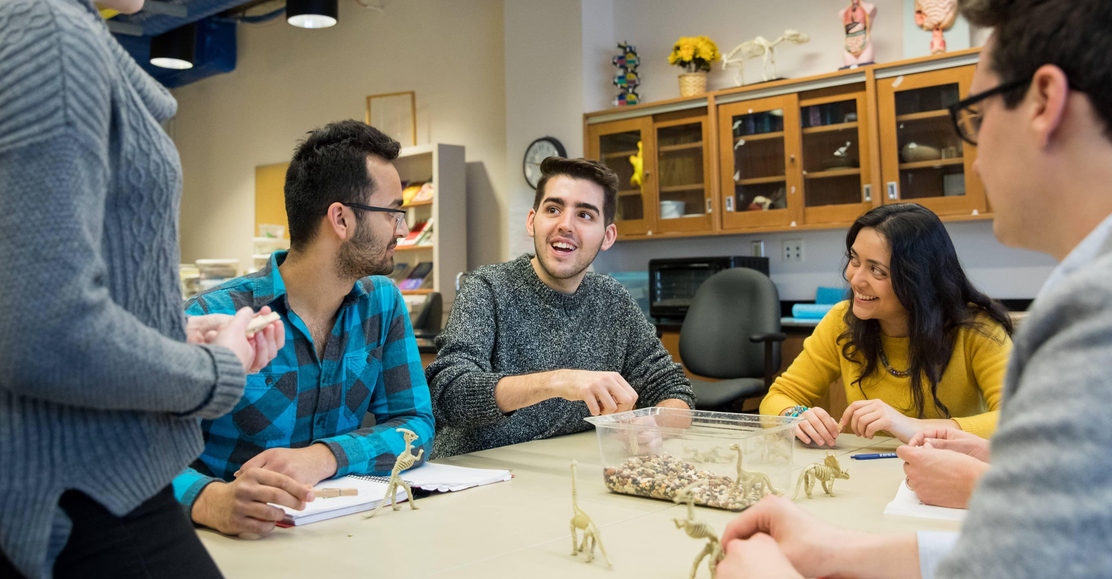 Elementary Education, MAT (Online)
